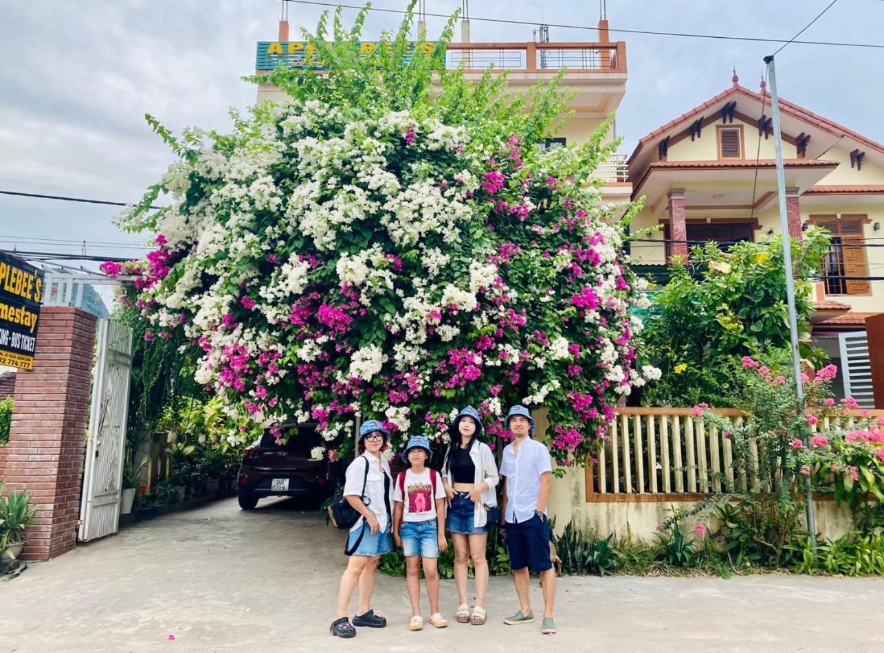 Applebee'S Homestay Phong Nha Kültér fotó